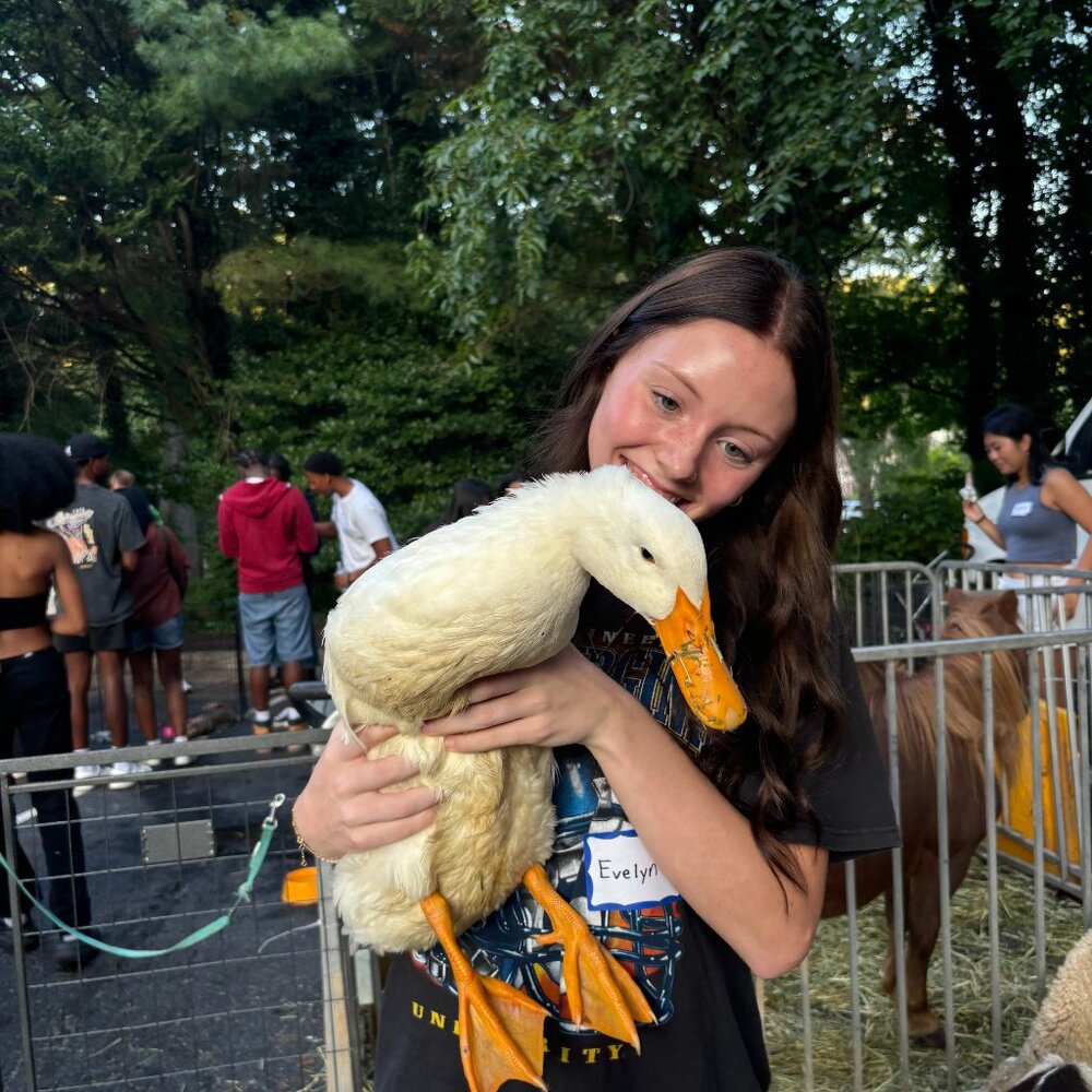 Meet your Posher, Evelyn